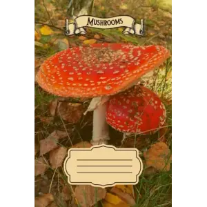 Independently published Red Toadstool - Fly Agaric - Amanita Muscaria: Notebook with lined paper