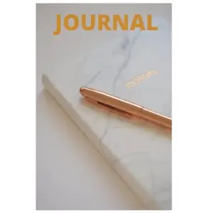 Journal (Daily journal, 369 Journal, 5AM journal)