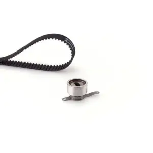 K015409XS Triger Seti