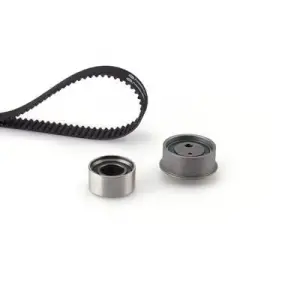 K055309XS Triger Seti