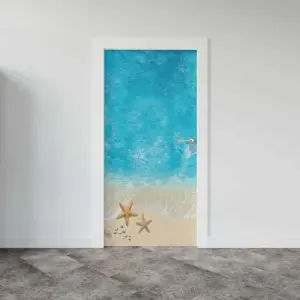 Kapı Giydirme Kapı Sticker Folyosu Deniz Yıldız