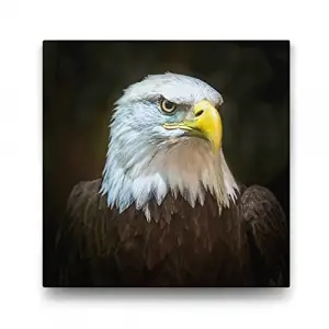 Kartal Tablosu - 60x60cm