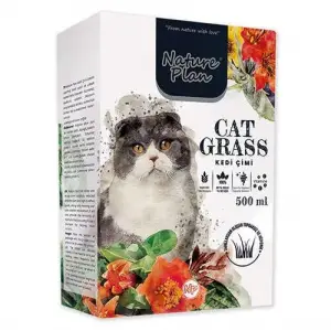 Kedi Çimi 500 ML