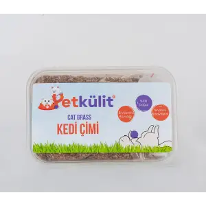 Kedi Çimi - Şeffaf