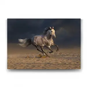 Kırçıllı At Görseliyle Dekoratif Tablo, 45x30 cm
