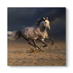 Kırçıllı At Tablosu 30 x 30