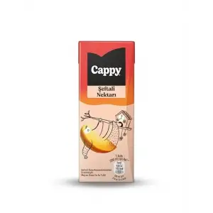 Kutu, Şeftali Nektarı Karton 27x200 ml