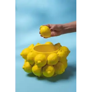 Limon Yatay Silikon Mum Kalıbı