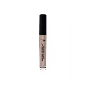 Make Up Highlighter 01
