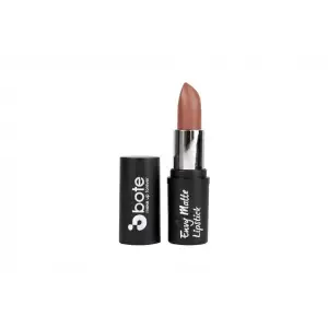 Makeup Envy Matte Lipstick 06
