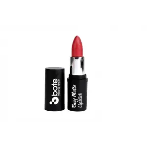 Makeup Envy Matte Lipstick 11