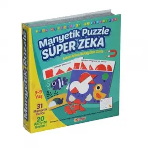 Manyetik Puzzle Süper Zeka Oyunu