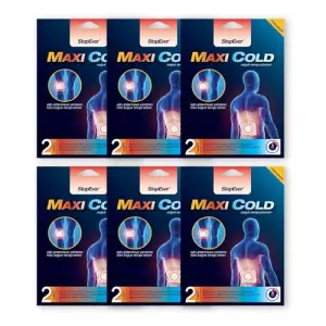 Maxi Cold Soğuk Terapi Plasteri (6 x 2 Adet)