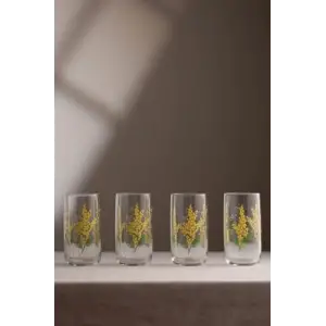 Mimosa 4lü Meşrubat Bardağı Seti 365 cc