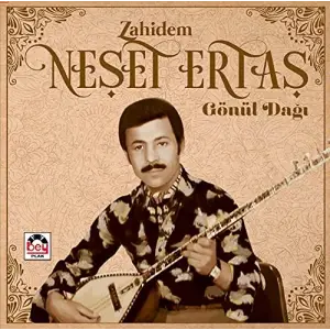 Neşet Ertaş Zahidem Gönül Dağı Plak