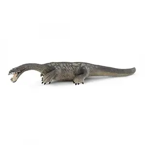 Notozorus