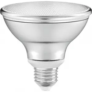 PARATHOM PAR30 DIM 10 WATT 2700K WARM WHİTE IŞIK E-27 LED AMPUL