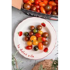 Pomodoro Stoneware Yemek Tabağı Seti, 4lü, 23 cm