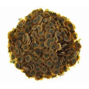 Pro Algae 100 g - Kovadan Bölme