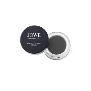 Professional Kaş Pomadı (10 - Dark Ash)
