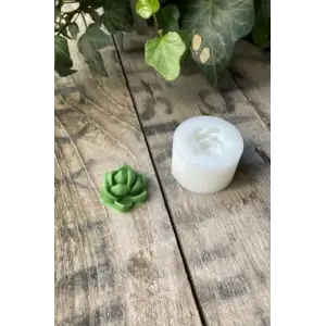 Purpusorum Sukulent Mum Kalıbı, Silikon
