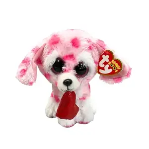 Rory Dog Val Reg