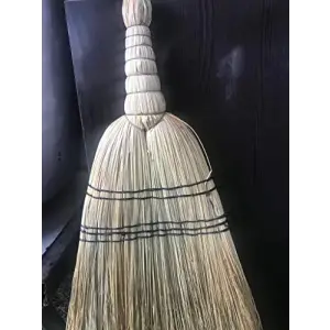 Sarı Çalı Süpürgesi İyi Kalite