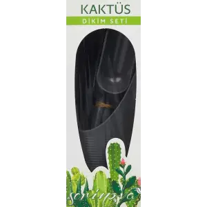 Serinova Kaktüs Dikim KDS01 Antrasit Saksı