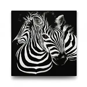 Siyah Beyaz Zebra Tablosu - 60x60cm