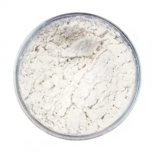 Sodyum Aljinat (E401) 100 g