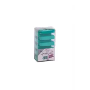 Steps Silgi Pastel Nane Yeşili Tekli Pet