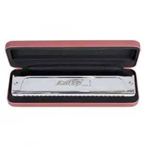 T2406S-Cm Tremolo Harmonica