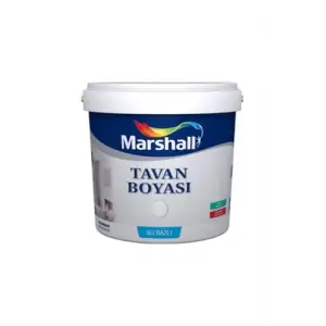Tavan Boyası, 2.1 L