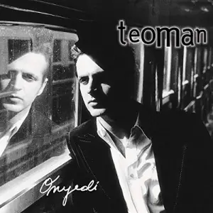 Teoman 17 plak