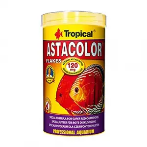 Tropical Astacolor 250gr Kovadan Bölme