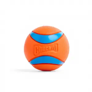Ultra Ball Köpek Oyun Topu (Medium)