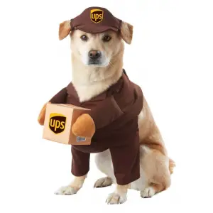 Ups Temalı Köpek Kostümü, Large