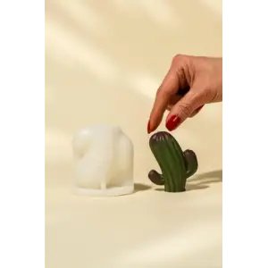 Vega Kaktüs Silikon Mum Kalıbı