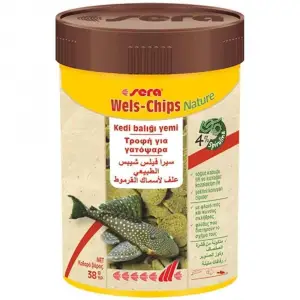 Wels-Chips 38 g 100 Ml