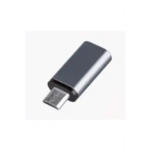 ZR352 Type-C to Micro çevirici mini adaptör, gri BBZR352