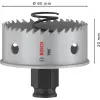1 x Pro Sheet Metal Power Change Plus Delikli Testere (Paslanmaz Çelik Levhalar, Çelik Levhalar, Ø 60 mm, Profesyonel Aksesuar Döner Matkap/Sürücü)