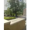 10 Adet Sıkışık Dikenli Kuş Kovucu 50 Cm