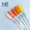 10 ml Kalıcı Oje 251
