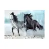 1000 Parça Puzzle, Horses (Atlar)