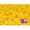1000p Puzzle Plastik Ördekler