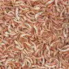 10323 Gammarus 100 Ml. 12 g.