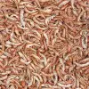 10323 Gammarus 100 Ml. 12 g.