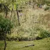 1070835 Solid Salınımlı Fıskiye, M