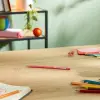 12li Üçgen Kuru Boya