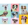 150 Parçalı Puzzle Eğlenceli Köpekler